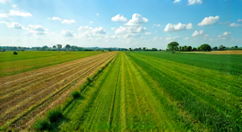 Die 6 häufigsten Fehler bei der Satellitennutzung in der Landwirtschaft