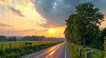 Die 6 häufigsten Fehler bei Klimawandel