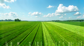 Die besten 8 Tipps bei der Nutzung von Satelliten in der Landwirtschaft