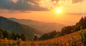 Einfluss des Sonnenzyklus auf die Erde (3/10)